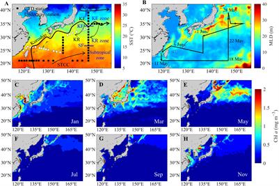 Spatial symmetry and contrasting controls of surface pH and aragonite saturation state in the western North Pacific